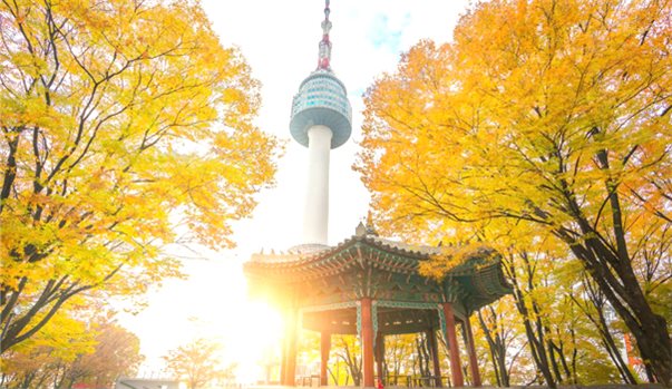 SEOUL - EVERLAND - TRƯỢT TUYẾT YANGJIPINE